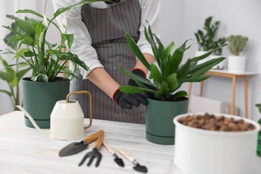 Kapalı alandaki beyaz ahşap masada saksıya çiçek nakleden bir kadın.