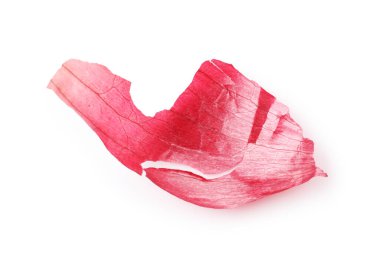 Kırmızı soğan kabuğu beyaza izole edilmiş, üst görünüm