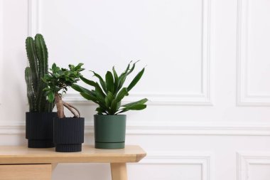 Beyaz duvarın yanındaki ahşap masada güzel saksı bitkileri. Metin için boşluk