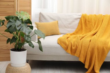 Canavar bitkisi ve rahat kanepesi olan şık bir oda. İç tasarım