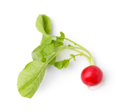 Taze olgun bir turp beyaza izole edilmiş, üst manzara.