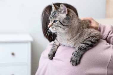 Evinde sevimli kedisi olan bir adam, mesaj için yer var.