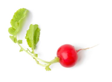 Taze olgun bir turp beyaza izole edilmiş, üst manzara.