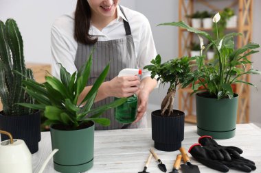 Kapalı alandaki beyaz ahşap masadaki saksı bitkisine su püskürten kadın.