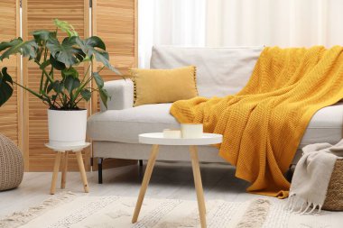 Canavar bitkisi ve rahat kanepesi olan şık bir oda. İç tasarım