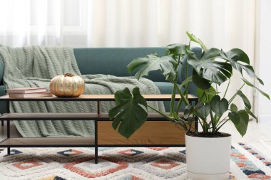 Canavar çiçekli şık bir oda, rahat bir kanepe ve masa. İç tasarım