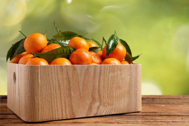 Tahta masada, bulanık yeşil arka planda taze, sulu mandalinalar.