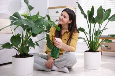 Bir kadın evdeki saksı bitkisine su püskürtüyor.
