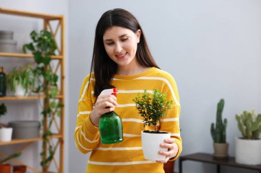 Kapalı alandaki saksı bitkisine su püskürten kadın.