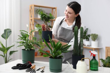 Beyaz ahşap bir masada saksıya çiçek nakleden bir kadın.