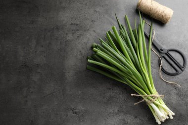Taze yeşil soğan, makas ve sicim gri masada, düz. Metin için boşluk