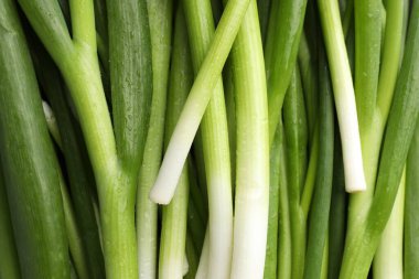 Fresh green onions as background, top view