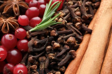Farklı baharatlar, taze biberiye ve sıcak şarap için kızılcık, yakın plan.