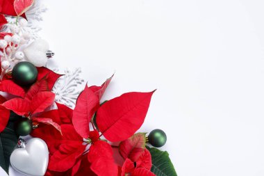 Güzel kırmızı noktalı çiçekler (Noel çiçeği) ve beyaz arka planda şenlikli dekorlar, düz bir zemin. Metin için boşluk