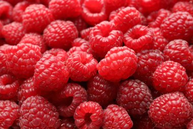 Taze olgun ahududu arka plan olarak, yakın plan görünümü