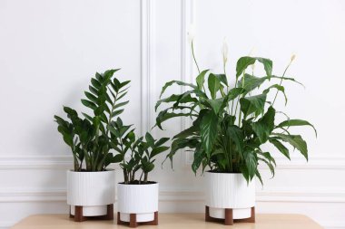 Beyaz duvarın yanındaki ahşap masada güzel saksılar var.