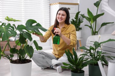 Bir kadın evdeki saksı bitkisine su püskürtüyor.