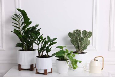 Güzel saksı çiçekleri ve su bidonu beyaz duvarın yanında.