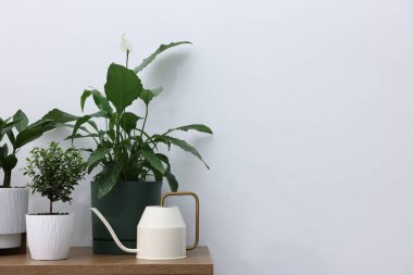 Farklı yeşil bitkiler ve sulama tenekesi beyaz duvarın yanındaki ahşap masada, yazı için yer var.