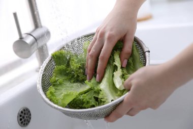 Lavaboda marul yıkayan kadın, yakın plan.