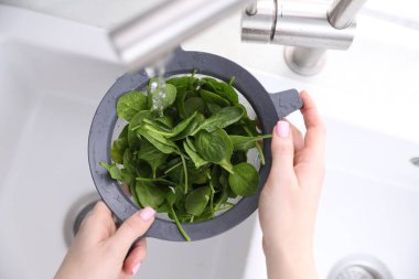 Lavaboda ıspanak yıkayan kadın, yakın plan.