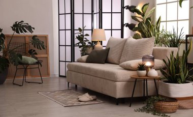 Kanepesi ve çiçekleri olan şık bir oturma odası. İç tasarım