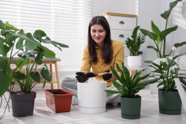 Ev bitkisi nakli. Kadın evdeki çömleğe toprak koyuyor.