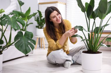 Evde yerde farklı saksı çiçekleri olan bir kadın.