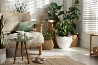 Kanepesi ve çiçekleri olan şık bir oturma odası. İç tasarım