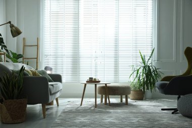 Kanepesi ve çiçekleri olan şık bir oturma odası. İç tasarım