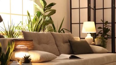 İç dizayn. Kanepesi ve çiçekleri olan şık bir oturma odası. Kamera aşağı iniyor