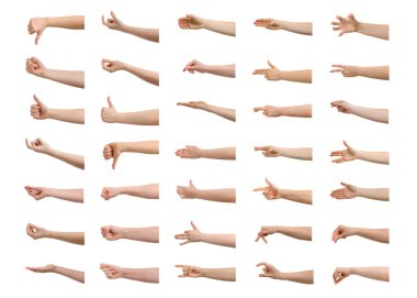 Beyaz arka planda kadın elleri. Jest koleksiyonu