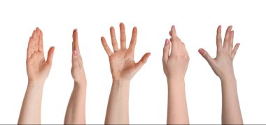 Beyaz üzerinde izole kadın elleri, fotoğraf koleksiyonu