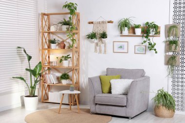 Koltuğu, raf ünitesi ve farklı bitkileri olan güzel bir oda.