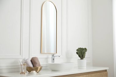 Tarz aynası, damar lavabosu ve banyo bitkisi. İç tasarım