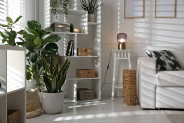 Rahat bir kanepe, diğer mobilyalar ve kapalı alandaki yeşil bitkiler. İç tasarım