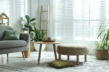 Kanepesi ve çiçekleri olan şık bir oturma odası. İç tasarım