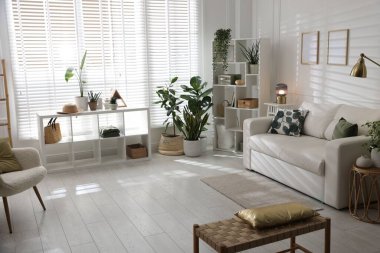 Rahat bir kanepe, diğer mobilyalar ve kapalı alandaki yeşil bitkiler. İç tasarım