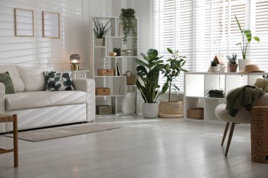 Rahat bir kanepe, diğer mobilyalar ve kapalı alandaki yeşil bitkiler. İç tasarım