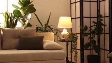 İç dizayn. Kanepesi ve çiçekleri olan şık bir oturma odası. Kamera sola hareket ediyor