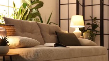 İç dizayn. Kanepesi ve çiçekleri olan şık bir oturma odası. Kamera sola hareket ediyor