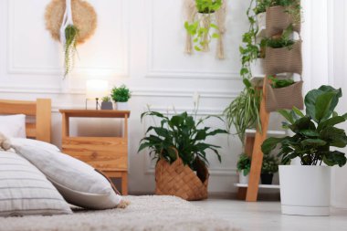 Rahat yatağı, lambası, yastıkları ve farklı çiçekleri olan güzel bir oda.