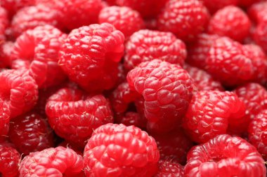 Taze olgun ahududu arka plan olarak, yakın plan görünümü