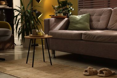 Kanepesi ve çiçekleri olan şık bir oturma odası. İç tasarım