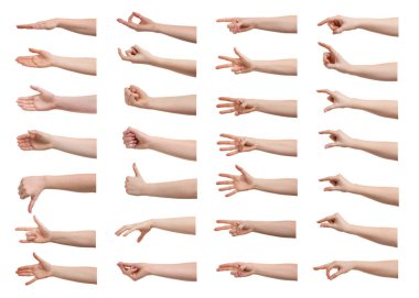 Beyaz arka planda kadın elleri. Jest koleksiyonu