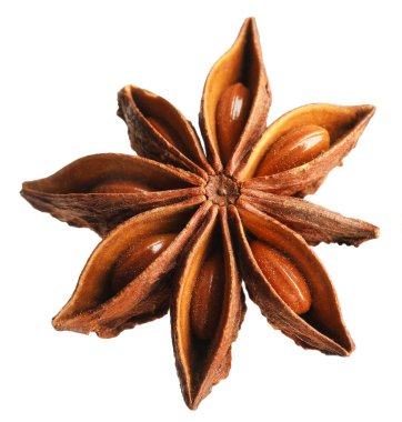 Kuru anason yıldızı beyaz üzerine izole tohumlar ile