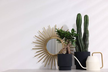 Farklı yeşil bitkiler ve sulama tenekeleri beyaz duvarın yanındaki gri masada, yazı için yer var.