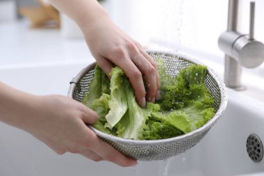 Lavaboda marul yıkayan kadın, yakın plan.