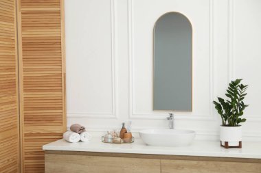 Tarz aynası, damar lavabosu ve banyo bitkisi. İç tasarım