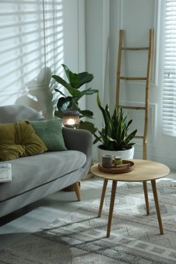 Kanepesi ve çiçekleri olan şık bir oturma odası. İç tasarım